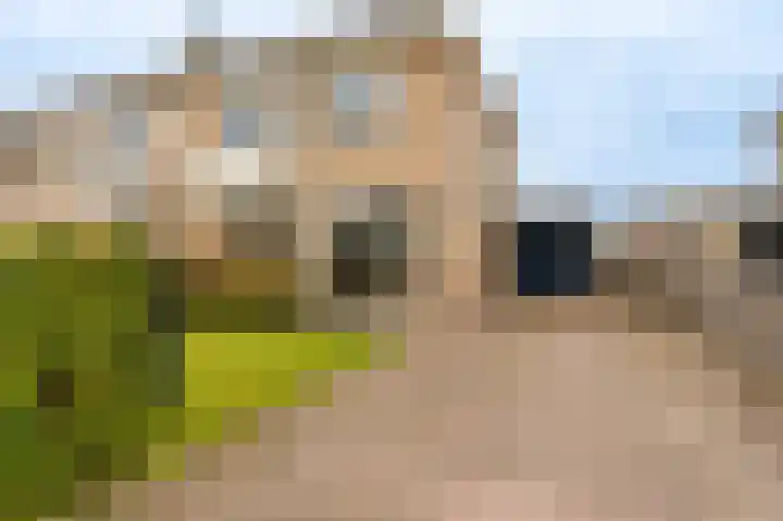 Schapendrift 9 in Mussel