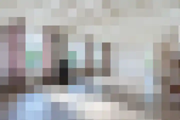 Schapendrift 9 Dalfsen thumbnail 12