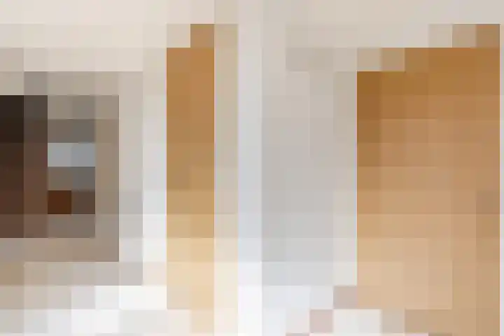 Schapendrift 9 Dalfsen thumbnail 19