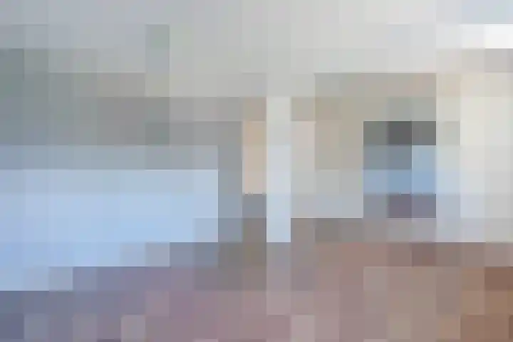 Schapendrift 9 Dalfsen thumbnail 22