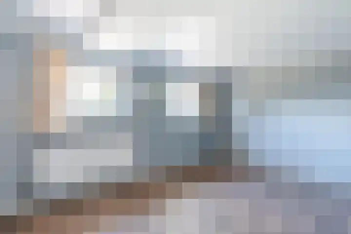 Schapendrift 9 Dalfsen thumbnail 23