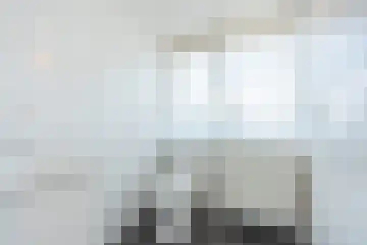Schapendrift 9 Dalfsen thumbnail 32