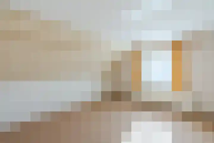 Schapendrift 9 Dalfsen thumbnail 34