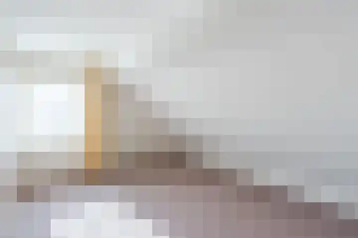 Schapendrift 9 Dalfsen thumbnail 36