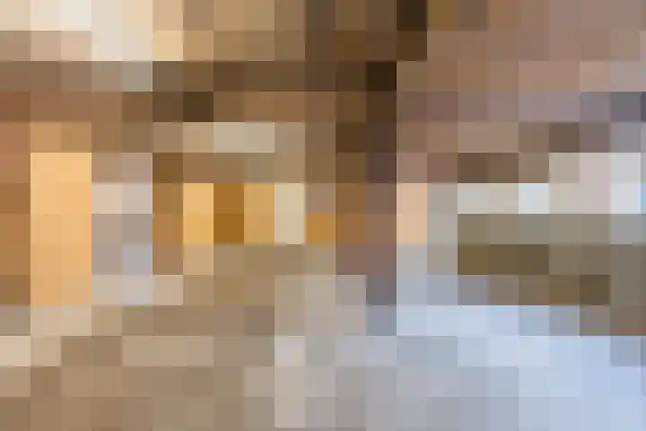 Schapendrift 9 Dalfsen thumbnail 41