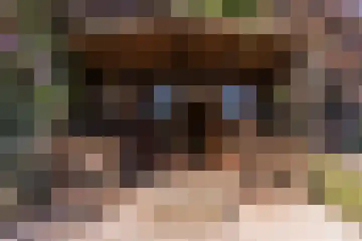 Schapendrift 9 Dalfsen thumbnail 46