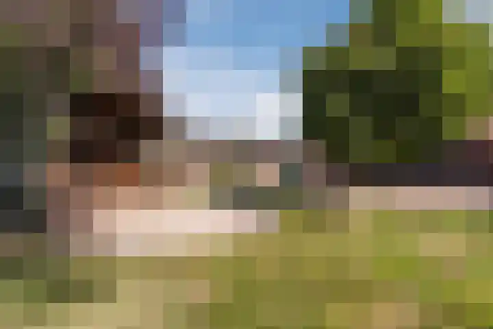 Schapendrift 9 Dalfsen thumbnail 47
