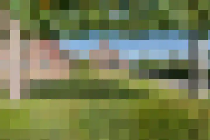 Schapendrift 9 Dalfsen thumbnail 49