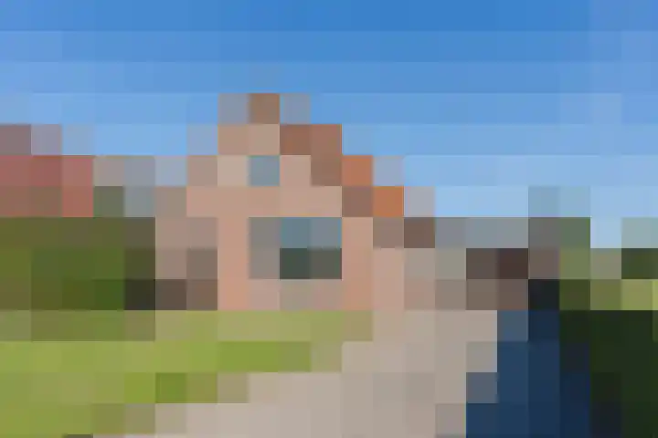 Schapendrift 9 Dalfsen thumbnail 51