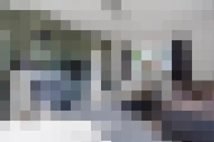Schapendrift 9 Dalfsen thumbnail 55