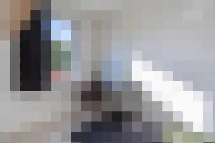 Schapendrift 9 Dalfsen thumbnail 56