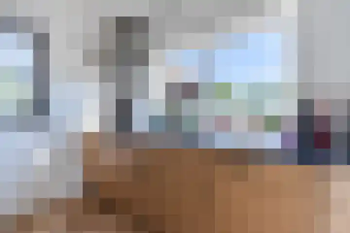 Schapendrift 9 Dalfsen thumbnail 60