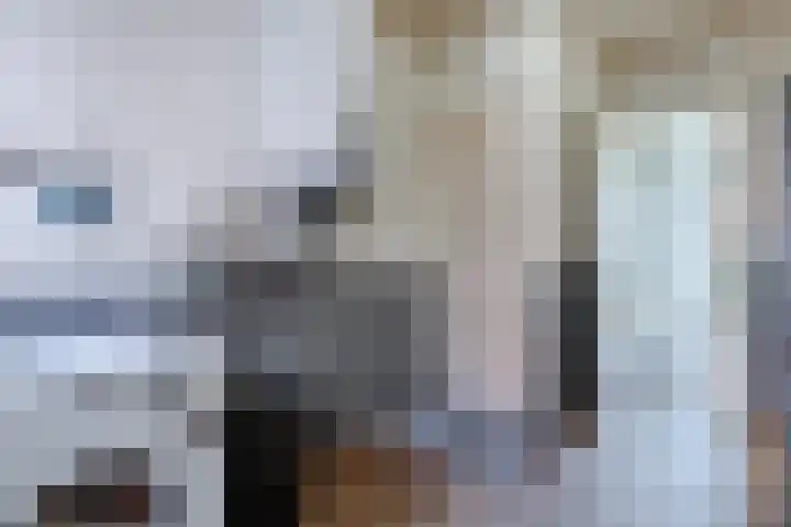 Schapendrift 9 Dalfsen thumbnail 61