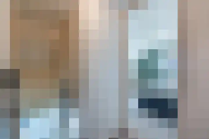 Schapendrift 9 Dalfsen thumbnail 65