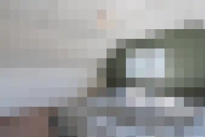 Schapendrift 9 Dalfsen thumbnail 66