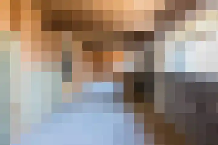 Schapendrift 9 Dalfsen thumbnail 72