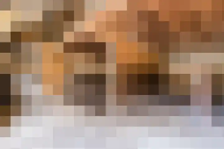 Schapendrift 9 Dalfsen thumbnail 73