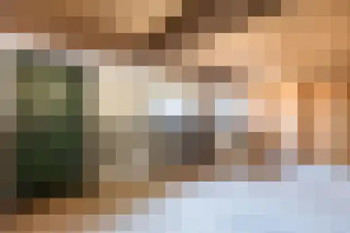 Schapendrift 9 Dalfsen thumbnail 75