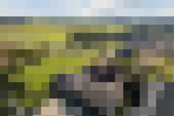 Schapendrift 9 Dalfsen thumbnail 81
