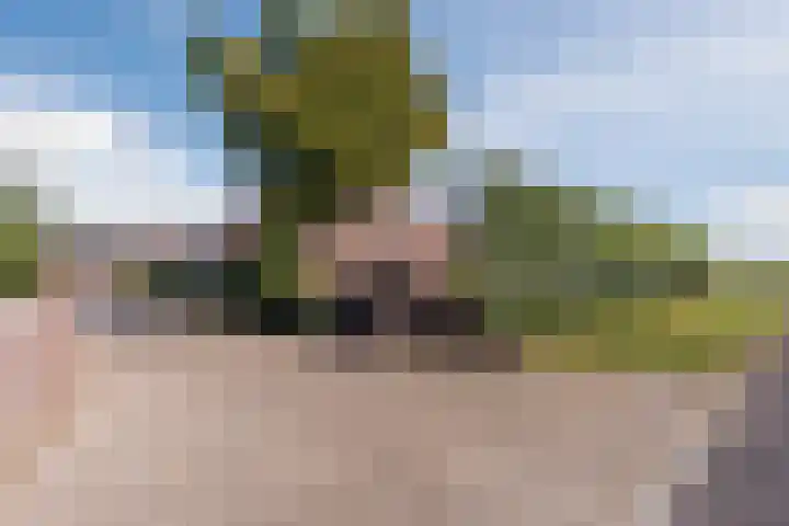 Schapendrift 9 Dalfsen thumbnail 9