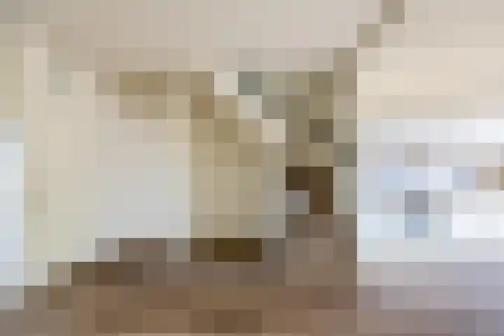 Schapendrift 9 Laren thumbnail 11