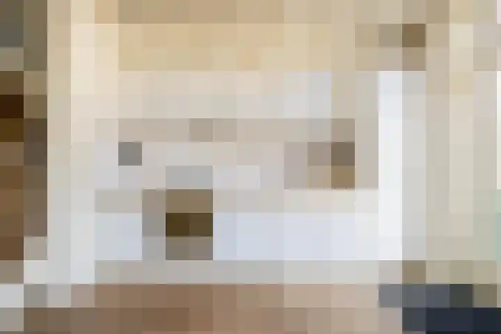Schapendrift 9 Laren thumbnail 13