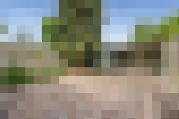 Schapendrift 9 Laren thumbnail 16