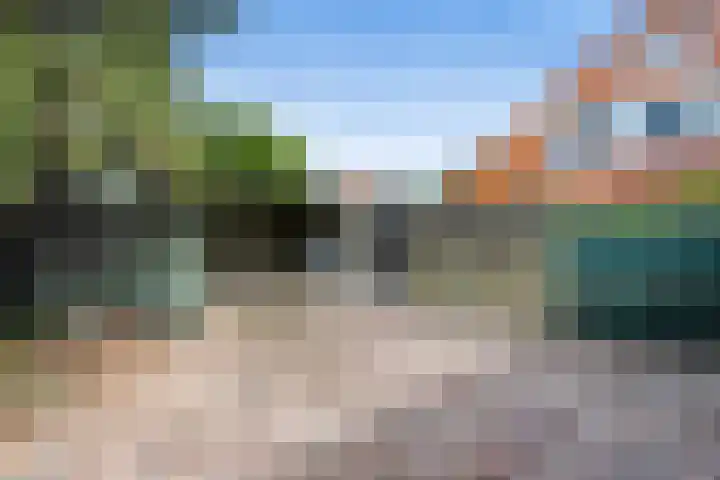 Schapendrift 9 Laren thumbnail 18