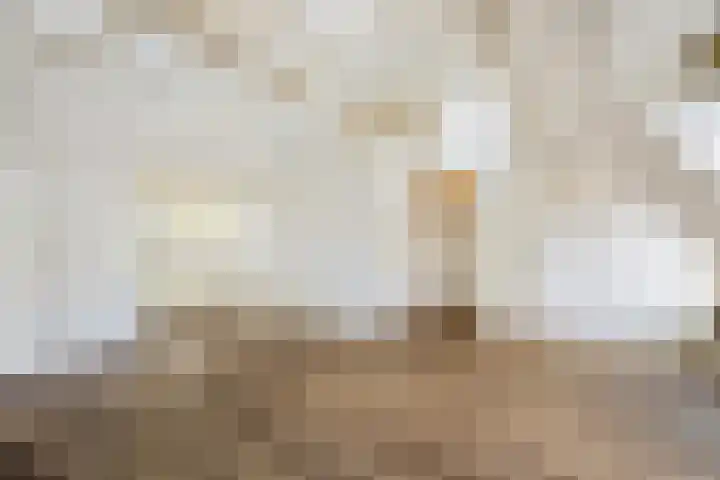 Schapendrift 9 Laren thumbnail 20