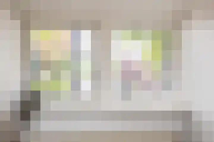 Schapendrift 9 Laren thumbnail 22