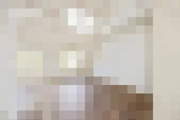 Schapendrift 9 Laren thumbnail 23
