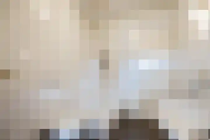 Schapendrift 9 Laren thumbnail 27
