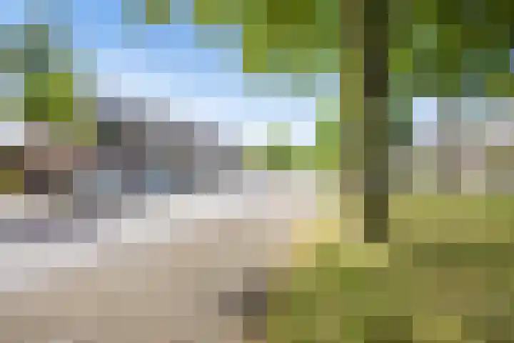 Schapendrift 9 Laren thumbnail 30