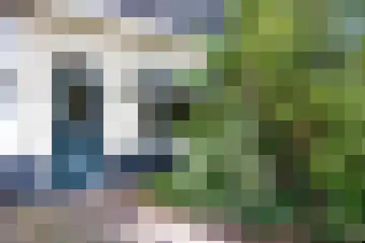 Schapendrift 9 Laren thumbnail 4