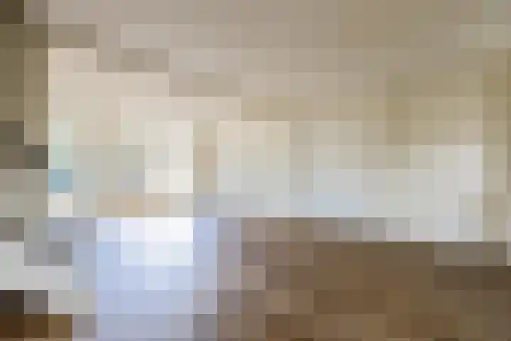 Schapendrift 9 Laren thumbnail 6