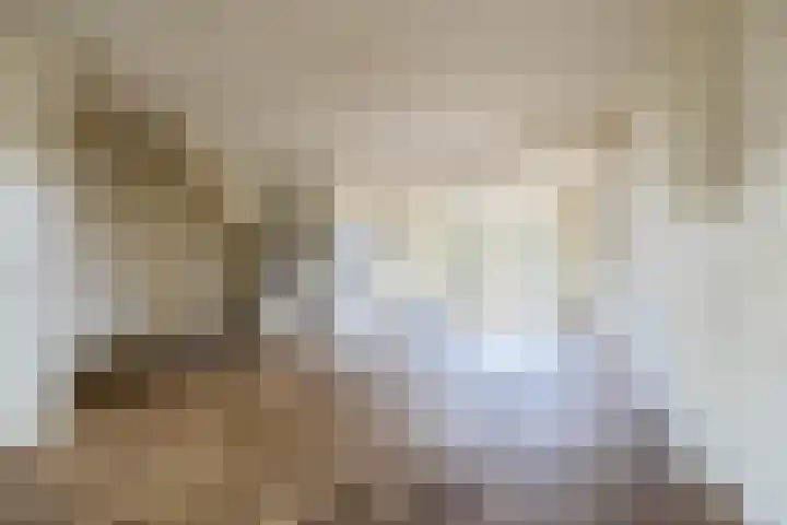 Schapendrift 9 Laren thumbnail 7