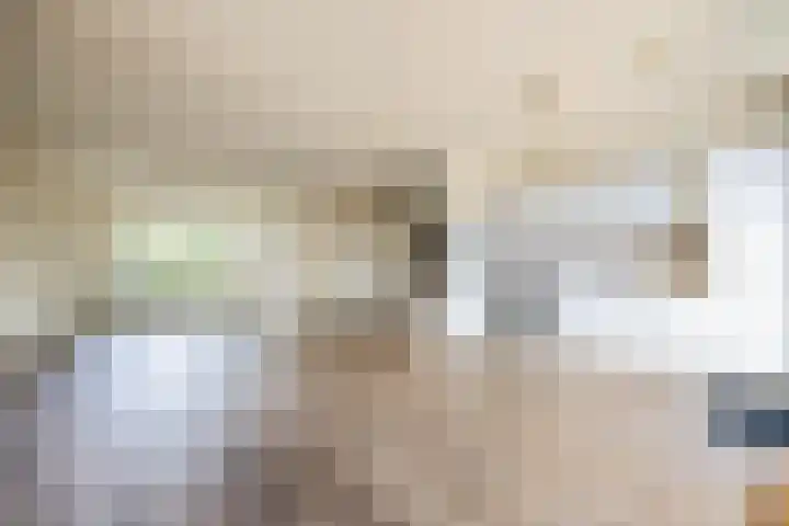 Schapendrift 9 Laren thumbnail 8