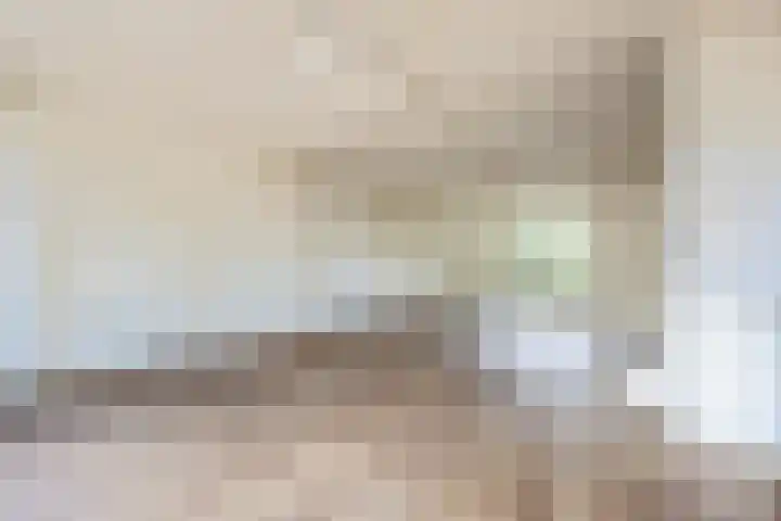 Schapendrift 9 Laren thumbnail 9