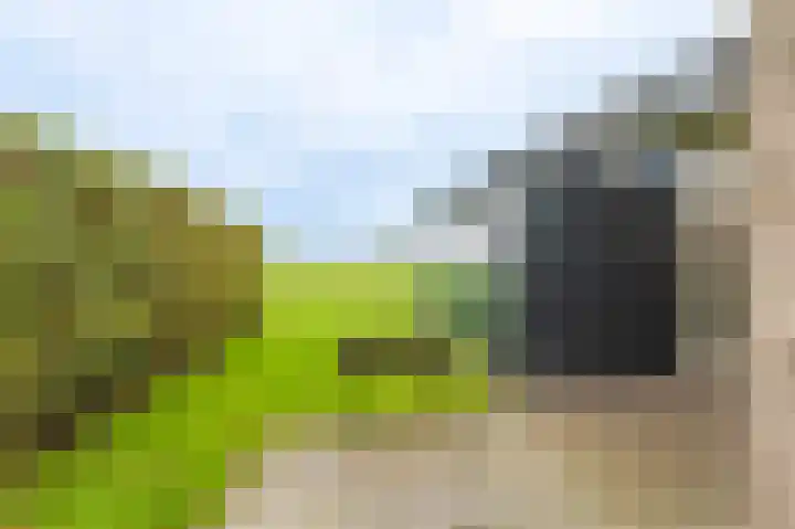 Schapendrift 9 Mussel thumbnail 12