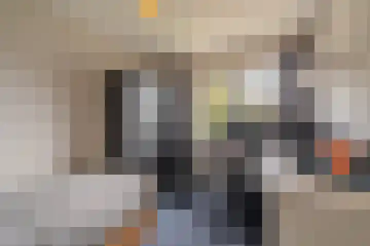 Schapendrift 9 Mussel thumbnail 34