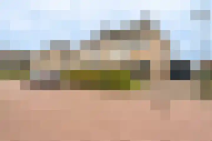 Schapendrift 9 Mussel thumbnail 4