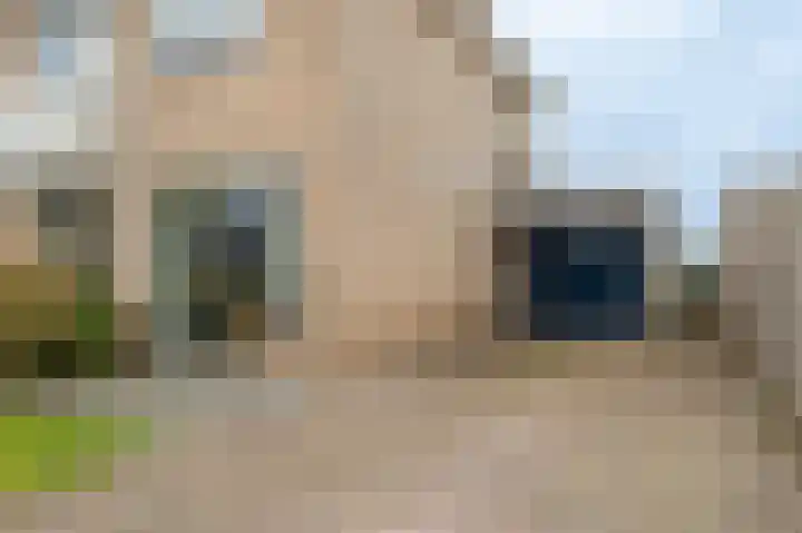 Schapendrift 9 Mussel thumbnail 6