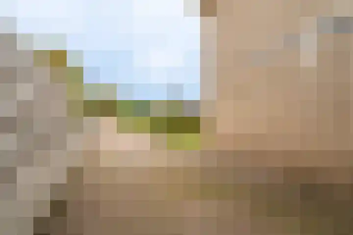Schapendrift 9 Mussel thumbnail 8