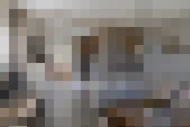 Schapengorsedijk 23 Rockanje thumbnail 13