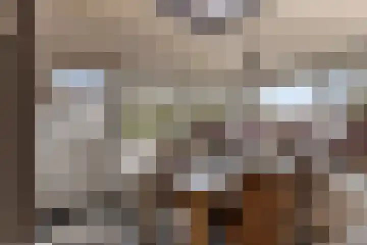 Schapengorsedijk 23 Rockanje thumbnail 15