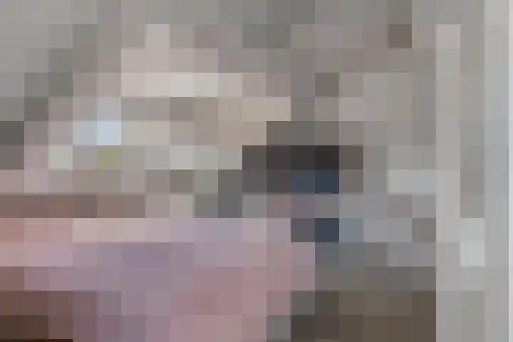 Schapengorsedijk 23 Rockanje thumbnail 17