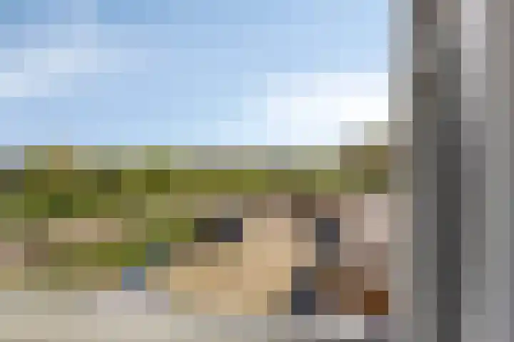 Schapengorsedijk 23 Rockanje thumbnail 18