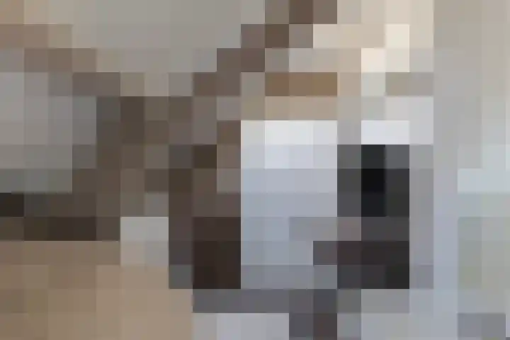 Schapengorsedijk 23 Rockanje thumbnail 19