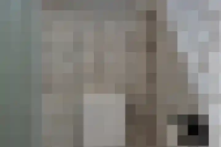 Schapengorsedijk 23 Rockanje thumbnail 21