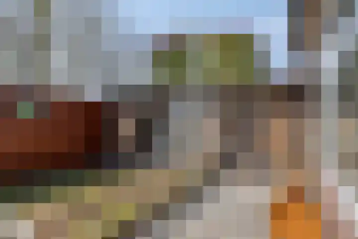 Schapengorsedijk 23 Rockanje thumbnail 25